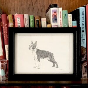 Boston Terrier Original Drawing on Deckle Edged Paper in 5x7 inch Black Frame